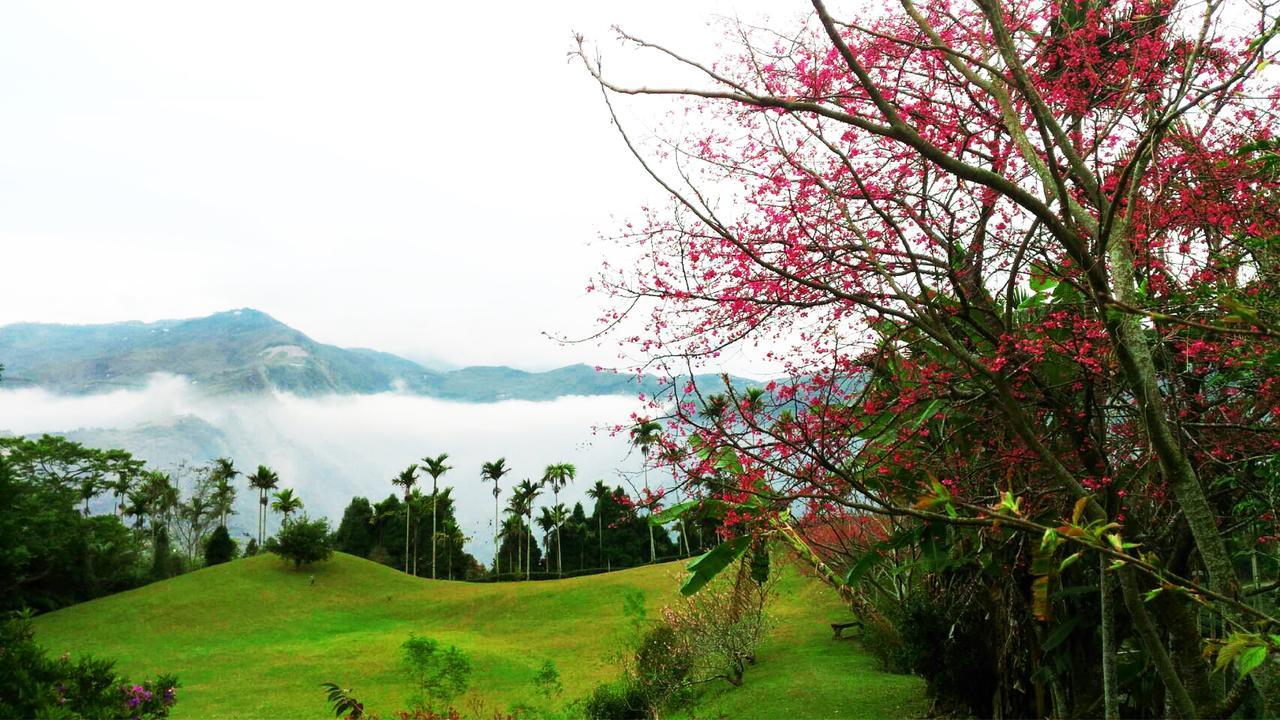 Foggy Wonderland Villa Zhushan Exterior photo